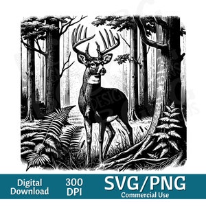 Buck in Woods, Buck Clipart, Whitetail SVG, jacht SVG, herten clipart, Big Rack SVG, vectorafbeelding, lasergraveur, CNC, clip art,