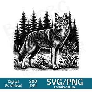 Coiote em pé na floresta SVG, Coyote svg, Coyote Silhouettes, Coyote Clip Art, png, gráfico vetorial, gravador a laser, cnc, Clip art,