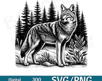 Może przedstawiać: Czarno-biała ilustracja wilka stojącego w lesie. Wilk patrzy w prawą stronę obrazu. Wilk jest otoczony drzewami i krzewami. Obraz jest w stylu drzeworytu.