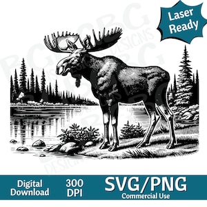 Moose by Lake SVG PNG, vectorafbeelding, lasergraveur, cnc, illustraties, laser klaar, snijplanken, gepersonaliseerde geschenken