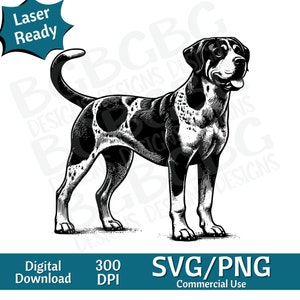 May include: Black and white line art illustration of a Bloodhound dog standing with its tail curled. The dog is facing to the right of the image. The image is suitable for use as a digital download for crafting projects.