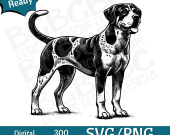 Puede incluir: Ilustración en blanco y negro de un perro Bloodhound de pie con la cola enroscada. El perro está mirando hacia la derecha de la imagen. La imagen es adecuada para usar como descarga digital para proyectos de manualidades.