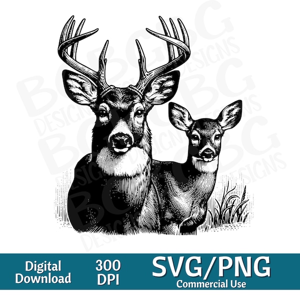 Buck and Doe SVG, Buck Clipart, Whitetail svg, Hunting svg, Deer clipart, Big Rack svg, vector graphic, laser engraver, cnc, Clip art,