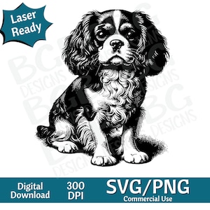 King Charles Cavalier SVG PNG, gráfico vectorial, grabador láser, cnc, Clip art, listo para láser, tablas de cortar, Regalos personalizados