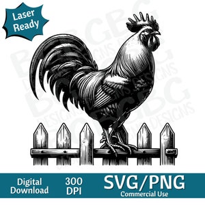 Coq assis sur une clôture SVG PNG, poulet, ferme, image vectorielle, graveur laser, cnc, clipart, prêt pour le laser