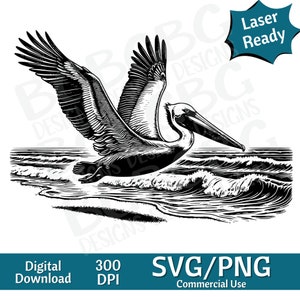 Pelikan fliegend SVG PNG, Vektorgrafik, Lasergravur, cnc, Clip Art, Laser bereit, Schneidebretter, personalisierte Geschenke