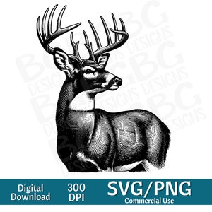 Buck SVG, Buck clipart, Whitetail SVG, jacht SVG, herten clipart, Big Rack SVG, vectorafbeelding, laser graveur, CNC, clip art,