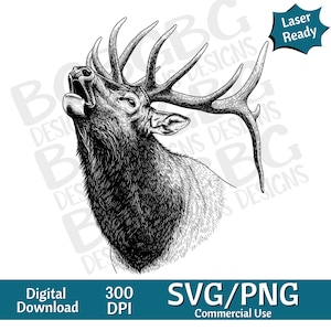 Puede incluir: Ilustración en blanco y negro de un alce rugiendo con grandes astas. La imagen está etiquetada como "Laser Ready" y "SVG/PNG Commercial Use". Es una descarga digital con 300 DPI.