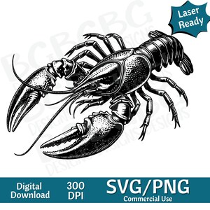 May include: Black and white illustration of a crayfish, a type of freshwater crustacean. The crayfish is drawn in a detailed, realistic style, with its claws, antennae, and body clearly visible. The image is suitable for use in a variety of projects, such as t-shirt designs, website graphics, and social media posts.
