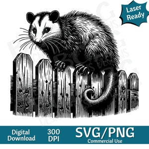 Opossum sur clôture SVG PNG, vie à la ferme, comté, graphique vectoriel, graveur laser, cnc, clipart, prêt pour le laser, planches à découper, cadeaux personnalisés