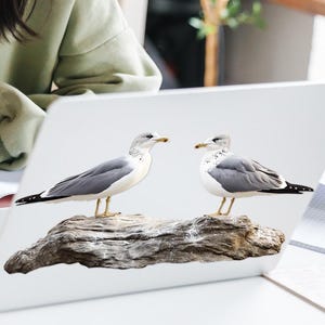Realistic Seagull Wall Decal – Bird on Driftwood Sticker for Windows, Cabinets & Bathrooms – Waterproof Sticker