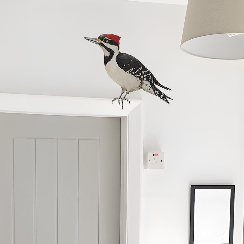Realistic Woodpecker Window Decal – Bird Stickers – Nature Wall Art for Kitchen, Glass, Bathroom Decor image 5