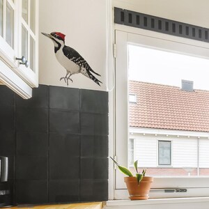 Realistic Woodpecker Window Decal – Bird Stickers – Nature Wall Art for Kitchen, Glass, Bathroom Decor image 3