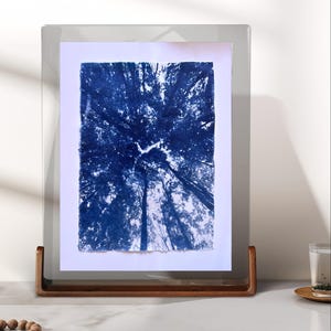 Forest Wall Art – Handmade Cyanotype Print on Cotton Paper, Nature Inspired Artwork