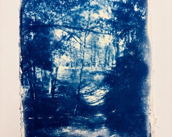 Impresión de bosque en cianotipo, papel de algodón hecho a mano, arte de la naturaleza azul (15 x 21 cm)