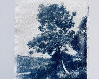 Paisaje original en cianotipo sobre papel hecho a mano. Creado a partir de fotografía analógica.