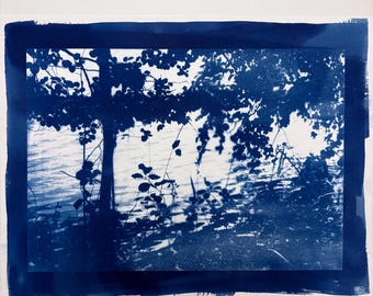 May include: A cyanotype print of a tree and foliage over water. The image is a monochromatic blue, with the tree's silhouette and leaves creating a dark contrast against the lighter water and sky. The print is framed with a dark blue border.