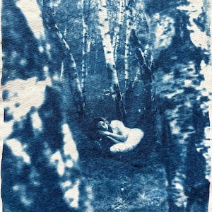 Original Cyanotype Portrait Print. Blue Print. Fine Art