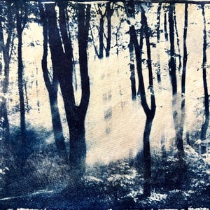 Original Cyanotype Print Forest. Unique cyano. Blue print.