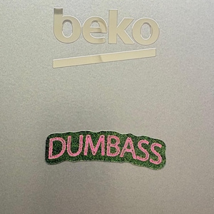 Dumbass Magnet: Pro Wrestling AEW WWE WCW Themed fridge magnet (2.5in)