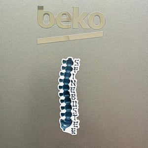 Spinebuster Magnet: Pro Wrestling AEW WWE WCW Themed fridge magnet (2.5in)