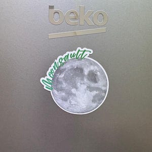 Moonsault Magnet: Pro Wrestling AEW WWE WCW Themed fridge magnet (2.5in)