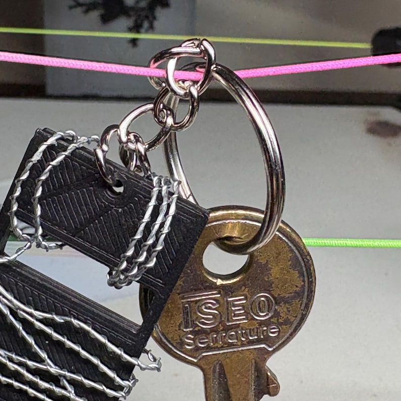 May include: Close-up of a key ring with keys and a black tag. The key ring is silver and holds a brass key with the text "ISEO Serrature". The black tag is wrapped with silver wire. A pink string is visible in the background.