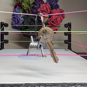 May include: A key with the text "ISEO Serrature" on the key head, attached to a small, silver barbed wire charm. The key and charm hang in front of a wrestling ring with colorful ropes and a bouquet of roses.