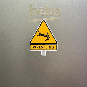 Pro Wrestling AEW WWE WCW Themed fridge magnet (2.5in)