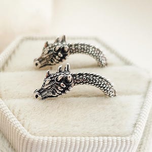 Può includere: Un paio di orecchini color argento a forma di testa di drago con dettagli a scaglie intricati e una finitura ossidata scura. Gli orecchini presentano un design curvo che segue i contorni della testa, mostrando occhi e musi ben definiti.