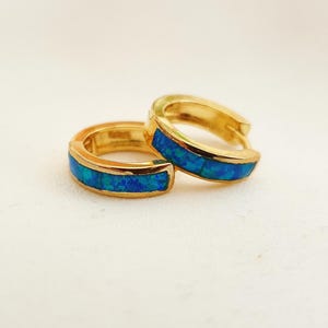 Puede incluir: Dos pendientes de aro dorados con una incrustación azul vibrante. Los pendientes son pequeños y circulares, con un acabado pulido. La incrustación azul añade un toque de color y contraste al oro. Un accesorio elegante.