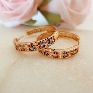 Op de afbeelding: Een paar goudkleurige oorringen. Elke oorring is versierd met een rij kleurrijke edelstenen, waaronder rood, blauw, groen en geel. De oorbellen staan tegen een zachte, vage achtergrond met roze bloemen.