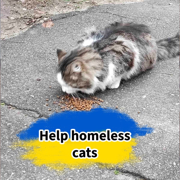 Support Ukrainian pets. Digital file download. Stand With Ukraine