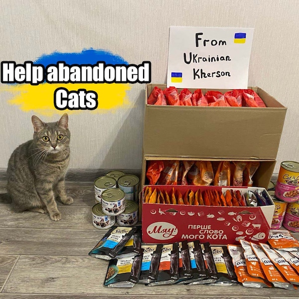 Help abandoned Cats - Support Ukrainian Family. Peace for Ukraine. Digital file Download. Ukrainian pet. Save cat. Ukrainian Postcard