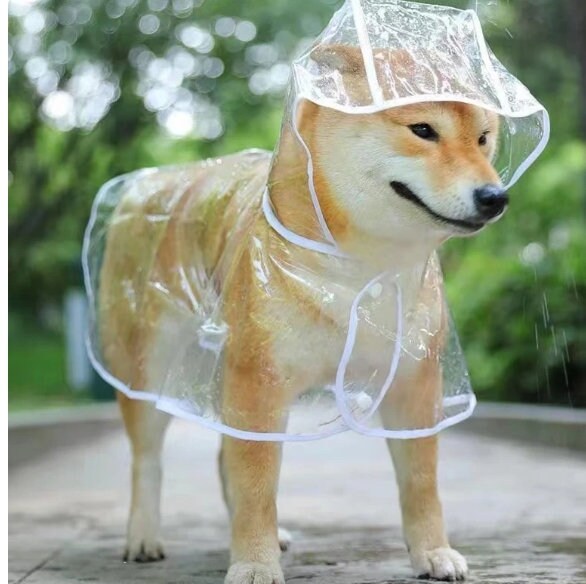 Giant outlet dog raincoat
