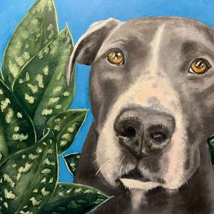 CUSTOM Pet Portrait image 3