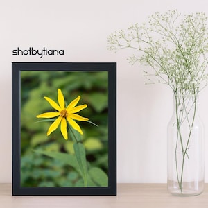 Yellow Wildflower Photography Print | Botanical Nature Wall Art