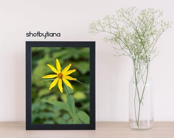 Stampa fotografica di fiori selvatici gialli / Arte murale botanica