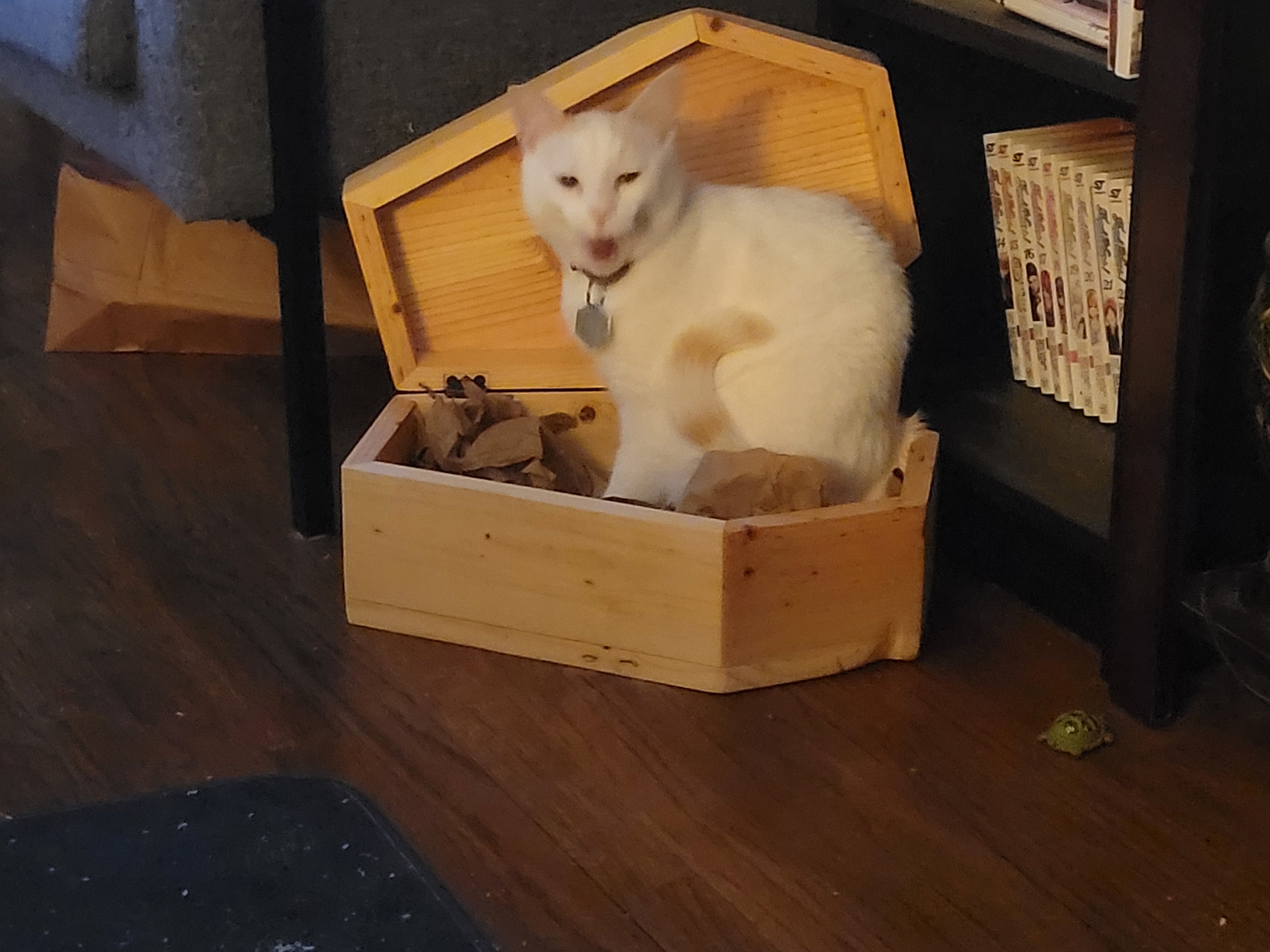 Pine Coffins For Small Animals Also Makes A Great Keepsake Box Etsy pine-coffins-for-small-animals-also-makes-a-great-keepsake-box-etsy