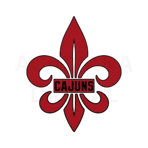 Fleur de lys cajuns PNG SVG Jpg téléchargement numérique graphique vectoriel Sublimation Cricut pod Louisiane Cajuns festivals sac de plage fleur rouge PNG