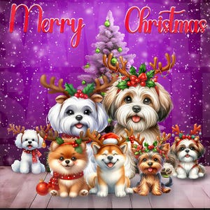 Weihnachten Hund Postkarte png, süßer Hund png, Weihnachtskarte png, Hundeliebhaber png, Hund Postkarte png, Welpe png, süße Weihnachtskarte, Sublimation