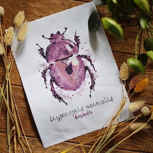 Op de afbeelding: Kruissteekpatroon van een paarse mestkever met roze bloemdetails. De tekst "Trypocopris vernalis dung beetle" staat onder de kever.