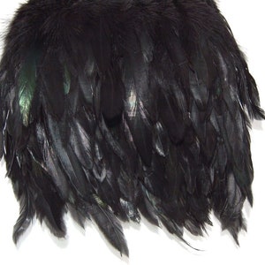 May include: A bunch of black feathers with a slight green iridescent sheen.