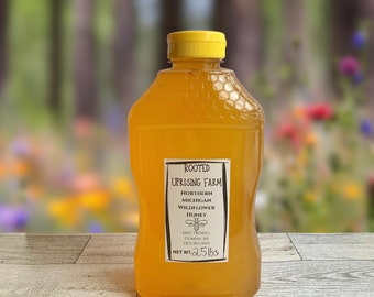 2.5 Pounds of Raw Unfiltered Honey from Untreated Hives | Northern Michigan Wildflower Honey | Squeeze Bottle Honey | Large Honey | Natural