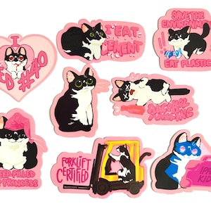 Cartoon kittykittyivy 8 pack stickers! Cat humor. Sarcasm. Unique sticker gift for the cat lover. Waterproof and easy  peel.