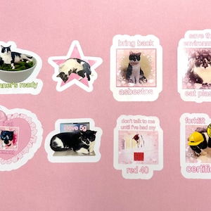 Puede incluir: Nueve pegatinas coloridas con gatos blanco y negro con texto humorístico. Las pegatinas incluyen frases como "la cena está lista", "traer de vuelta el asbesto", "salvar el medio ambiente", "comer plástico", "me encanta el 5G", "no me hables hasta que haya tenido mi red 40", "carretilla elevadora certificada" y "como cemento".