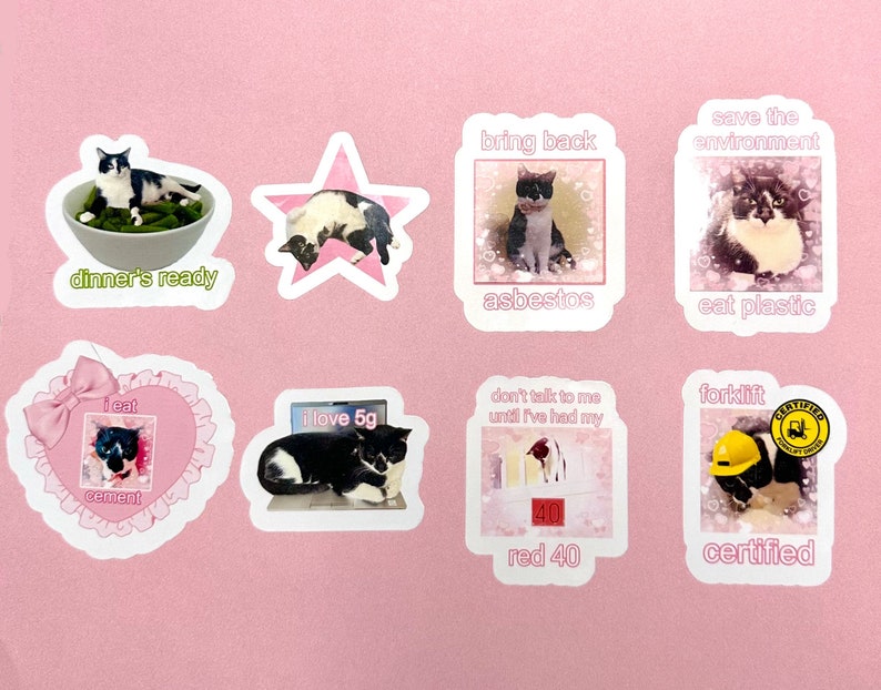 Ultimate Ivy 8 pack kittykittyivy stickers. Cat humor. Sarcasm. Unique sticker gift for the cat lover. Waterproof and easy peel image 1