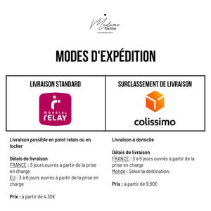 Może przedstawiać: Grafika z napisem "MODES D'EXP&Eacute;DITION" (Sposoby wysyłki) prezentująca dwie opcje: "LIVRAISON STANDARD" z logo Mondial Relay i "SURCLASSEMENT DE LIVRAISON" z logo Colissimo. Zawiera informacje o czasie i kosztach dostawy.