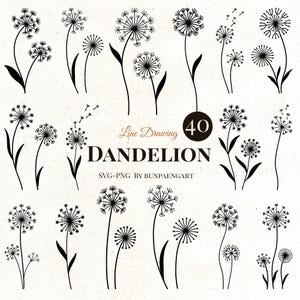 Dandelion Svg Bundle, Flower Png, dandelion SVG, dandelion png, dandelion cut file, wildflower SVG, dandelion flower SVG, dandelion clipart