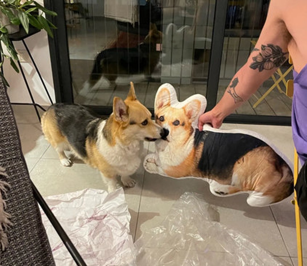 Photo Custom Pet Plush Based on Your Pet Toys Dolls Stuffed Etsy